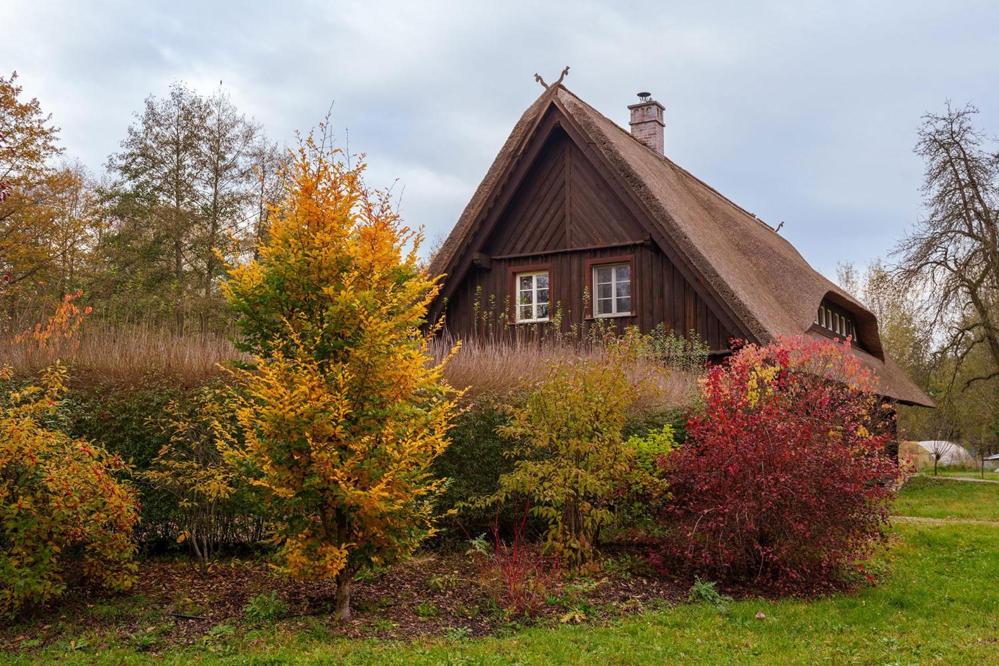 Villa Exklusives Holzhaus Burg  Exterior foto